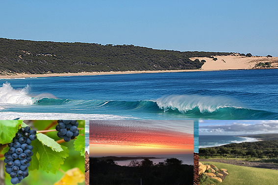 The South West of WA, wine, beaches, forests and adventure await